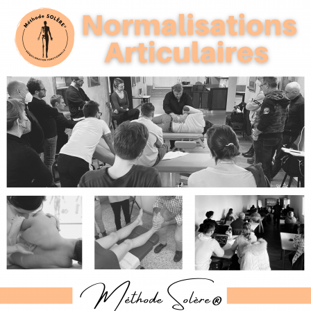 MODULE NORMALISATIONS ARTICULAIRE